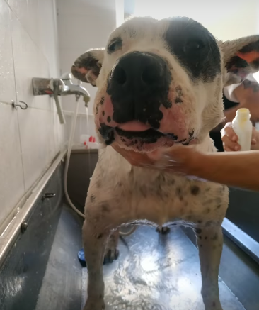 Magda, ci sarà pure qualcuno per te! Foto 9